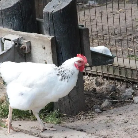 Deputathaus Hofsteig Am Dahmerhof Vakantiehuis